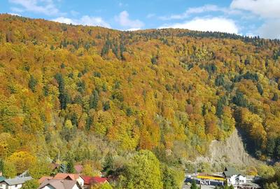 Garsoniera Sinaia Valea Prahovei Parcare Subterana SPA - 10