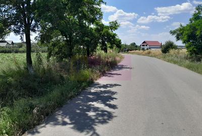DE VANZARE 2 LOTURI LIPITE (TOTAL 16.500 MP) IN SAT TEISORI (GR) - 4