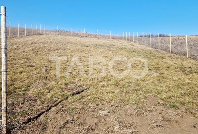 Teren de vanzare intravilan cu utilitati 508 mp Sura Mare - 1