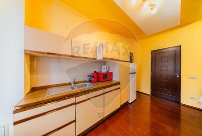 Apartament de inchiriat 2 camere Gradiste - 3