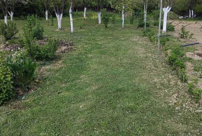 Vanc casa cu teren intravilan - 3