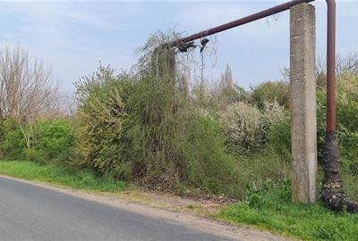 TEREN INTRAVILAN DOROBANTI - 5