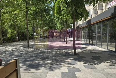 Vanzare apartament 2 camere in zona bd. Decebal stradal - 2