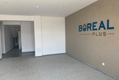 Apartament 2 camere si gradina - 4