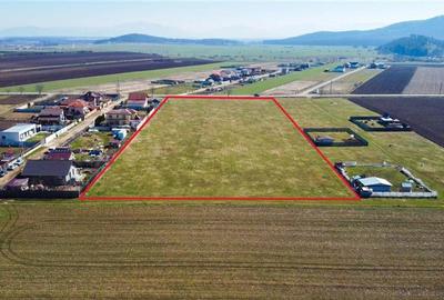Teren intravilan 18.200mp, cu PUZ si PUD, ideal constructi case, Bod, Brasov. - 6