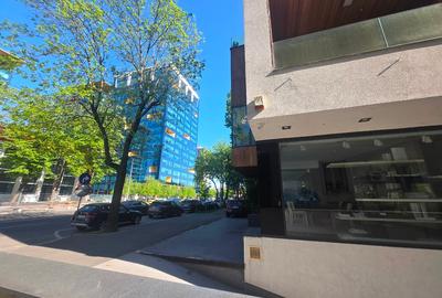 Showroom stradal Floreasca - 6