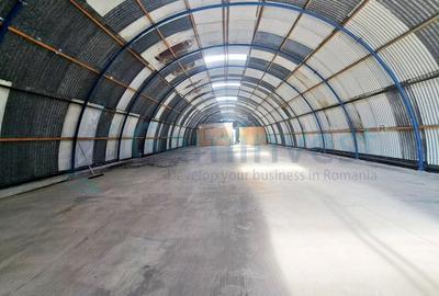 Spațiu industrial, de 720.00 mp, în Cauaceu