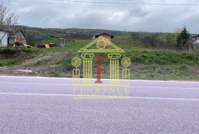 Teren Construcții intravilan de 3200 mp, în Tomești