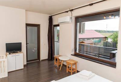 Vilă 5 dormitoare, 4 băi, 2 248mp teren, piscină. Preț: 229 000 E. - 35
