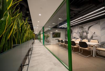 Birou Premium Supertree Pipera | 1-3 Persoane | Lumină Naturală - 8