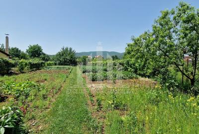 Teren intravilan | 1400 mp | 16 ml deschidere | Alba-Micesti - 7