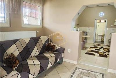 VIDEO | Casa cu teren generos si deschidere la 3 strazi | 10 minute de Satu Mare - 7