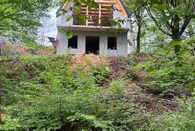 CHIUZBAIA 2CABANE cu teren de aprox. 70ari ! - 6
