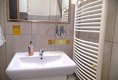 Duplex 6 camere – 161 mp utili – Curte proprie – zona pietei  Alba Iulia - 7