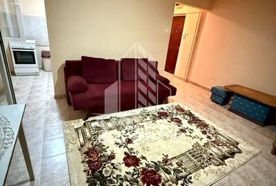 Apartament cu 1 camera de vanzare, zona Brancoveanu, Timisoara - 2