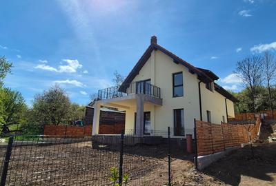 Casă de vis sat Gheorghieni capăt Borhanci - 4