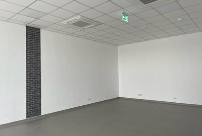 New Industrial Warehouse for Lease – 875 to 10,000 sqm – Storage or Production - 8