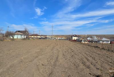 Terenuri la strada in Rosiori - 2