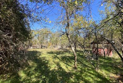 Casa+teren 2713 mp in loc. Babana, jud. Arges. Comision 0% - 4