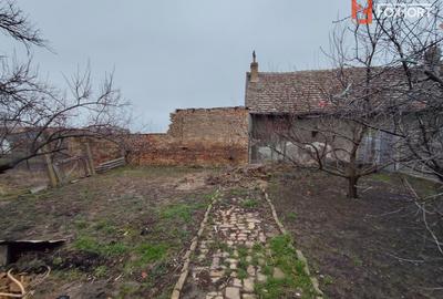 Casa individuala de vanzare in Jimbolia, jud. Timis - 10