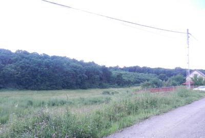 Teren de vanzare - 1