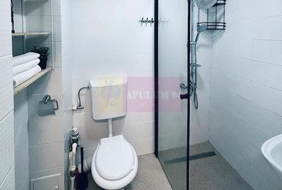 Apartament 2 camere Drumul Taberei - 4
