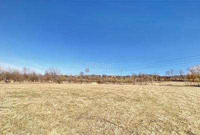 Teren Intravilan - Dezvoltare Rezidentiala - 4