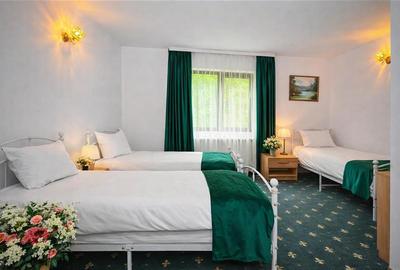 Complex turistic,afacere la cheie,3 vile, teren 7.700 mp,panouri fotovoltaice,Pl - 3