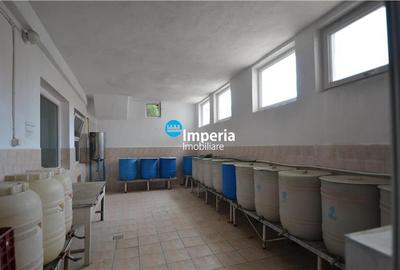 Hala de inchiriat in Iasi, zona Tomesti - 5