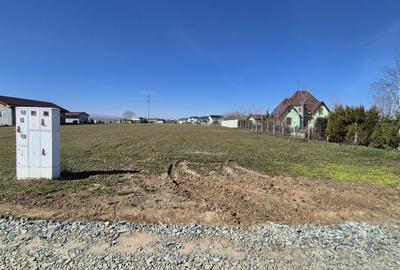 Teren intravilan în Sud-Vest