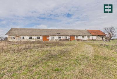 Proprietate industrială + Teren 8.632 - Voiteg - Județul Timiș - 3