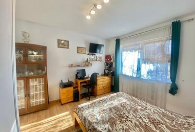 2 Case in regim P+M cu 9 camere, 3 băi, teren 1811mp, front 30m, Paleu - 17