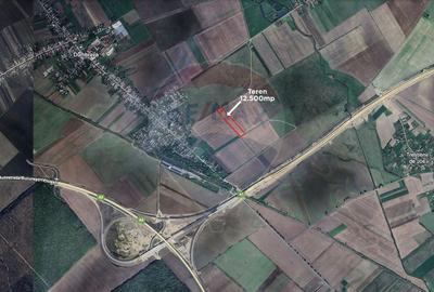 Teren 12.500 mp/Extravilan/ Dumbrava-Prahova - 5