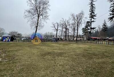 Teren investitie in strand Piatra Neamt - 4