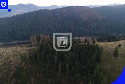Teren situat in Frasin | BUCOVINA - 6