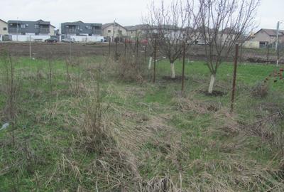 Prelungirea Ghencea - Safirului - 5