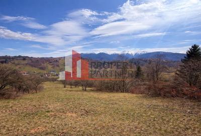 TEREN 11.500 MP + CASA AUTHENTICA ÎN BRAN – ȘIMON | VEDERE BUCEGI - 6