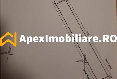 Teren intravilan de vanzare  Cornetu IF | ApexImobiliare.ro - 3