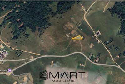 Teren Construcții intravilan de 1500 mp, în Păltiniș