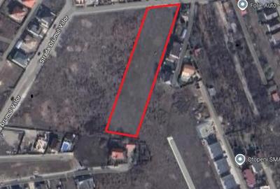 Teren intravilan 6.000 mp – deschidere 38 m, toate utilitățile - 1