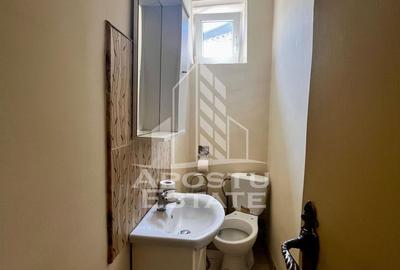 Apartament 4 camere de vanzare, zona Take Ionescu, Timisoara - 20