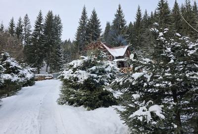 Casă / Vilă de vacanta - 2