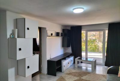 O oportunitate de investiție în inima Argeșului – Rădești, comuna Stâlpeni - 6