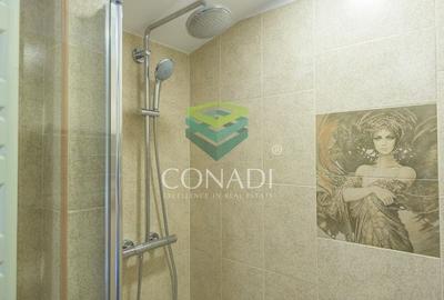 Apartament cu 2 camere // Aviatorilor - 10