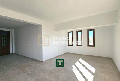 Proprietate multifunctionala - teren generos, cladire si hala in Lugoj - 11