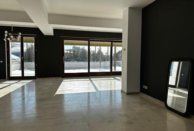 Penthouse Luminos cu Terasa în Inima Cartierului Icoanei, Centru - 4