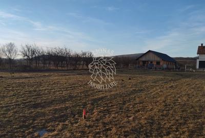 Teren 3500 mp-livada-Rusu Bargaului 13km de Bistrita - 3