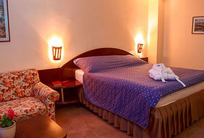 Hotel 4 stele, zona Pta Victoriei,cu restaurant si crama,comision 0 - 7