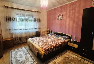 VIDEO | Casa cu teren generos si deschidere la 3 strazi | 10 minute de Satu Mare - 10