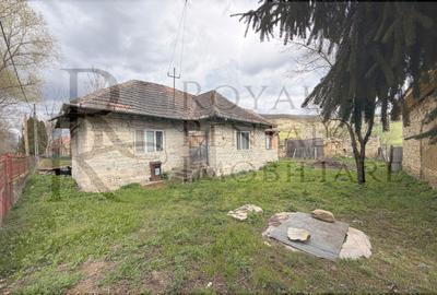 Casă individuală cu 2 camere în Făureni